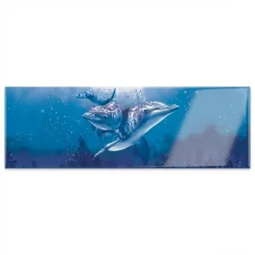 DECORADO FLIPPER 20X60